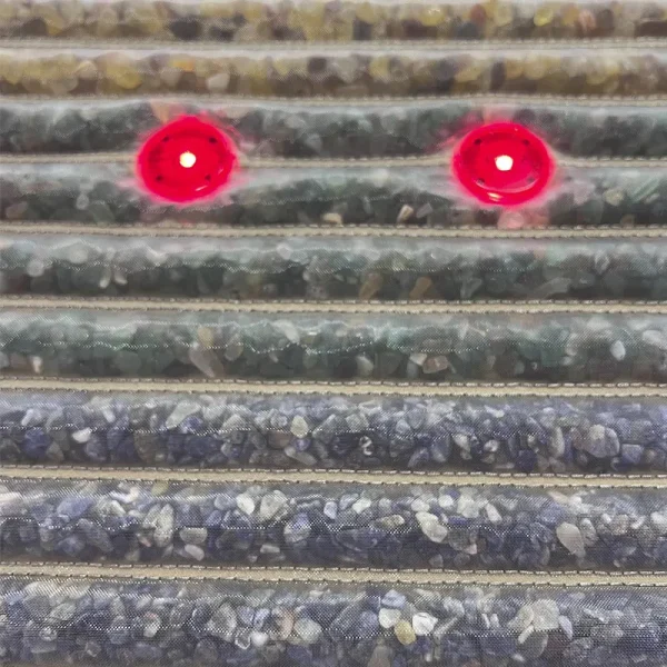 bio pemf therapy mat with red light leds
